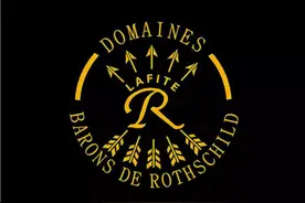 罗斯柴尔德家族的七代掌门人图片