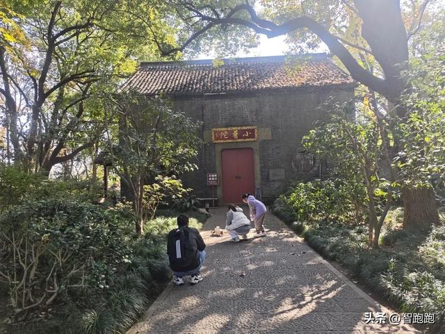 2025 杭州西湖 City Walk 留下足迹