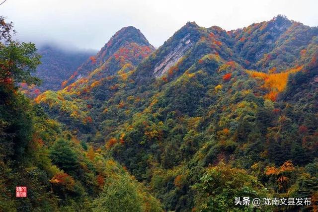 醉美文县：秋色斑斓大岭梁