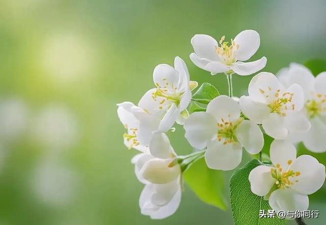 女人接吻时，有这“下意识反应”	，说明她已对你“彻底沦陷”