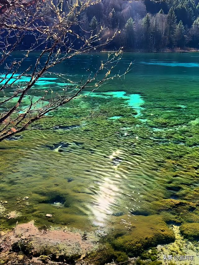 我在九寨沟踩了一脚“碎钻”，才懂日子里的光根本藏不住