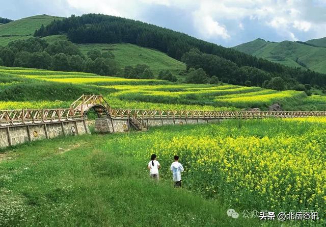 浑源县东葫芦头村：油菜花海引客来 清凉乡村醉游人
