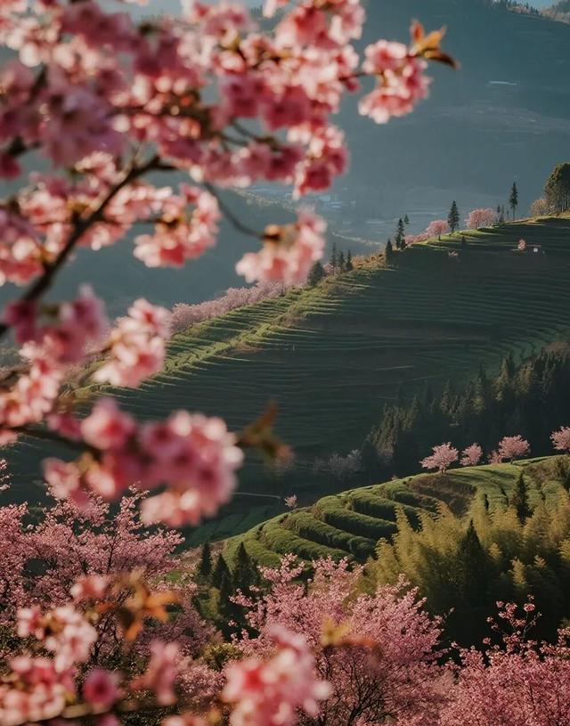 大理 ⇌太原 当凉鸡米线遇见打卤面