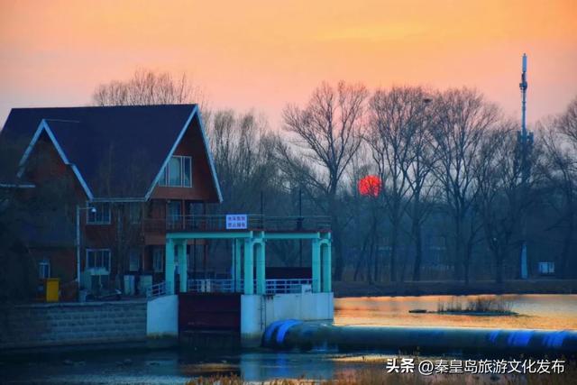 来秦皇岛，解锁冬日种种缤纷“美色”！
