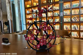 为什么法院只冻结微信支付功能 其它又不冻呢图片