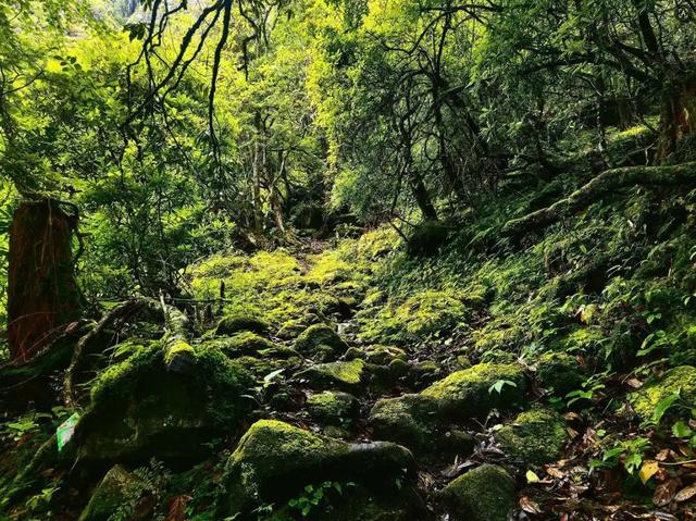 怒江福贡：寻访达友高山湖 觅得心灵归处