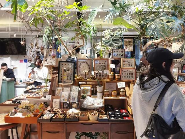 被徐汇秋天“落叶画”硬控！这就出门捡叶子去