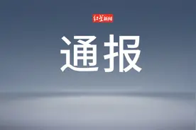 上海密集通报：多人被处分图片