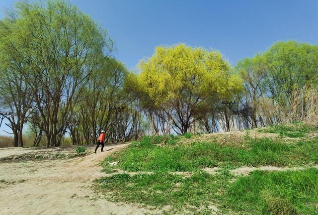 清明踏青最宜的 6 个古寨，适合全家人寻春访古，都清新自在！