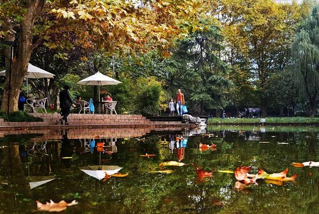 陪伴上海人70多年的“老友”要闭关升级了！这段历史头回听说？未来长啥样提前看！