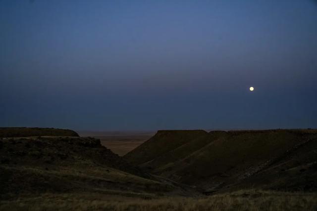 🤩哇~好大的月亮🤩