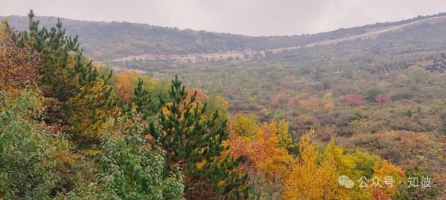 终于还是认识了天峻山的真面目 作者:马青山
