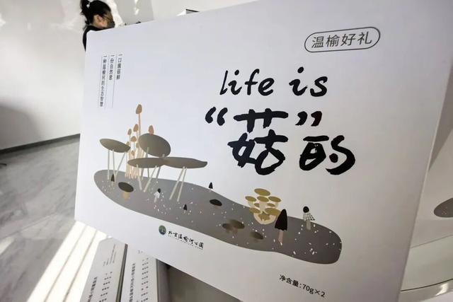 秋日游园好去处！北京温榆河公园顺义二期E区开园——