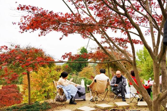郫都横山村漫山红枫上线，快来赴一场初冬的诗意之约吧~