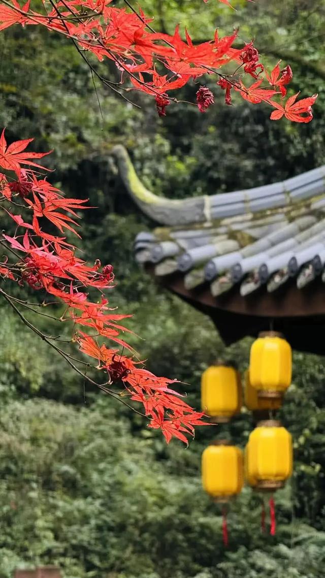 去邛崃！赴一场暖阳与山间的私语