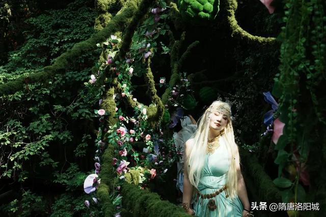 太美啦！@各位小仙女，洛阳这里上新“绿光森林”梦幻场景！