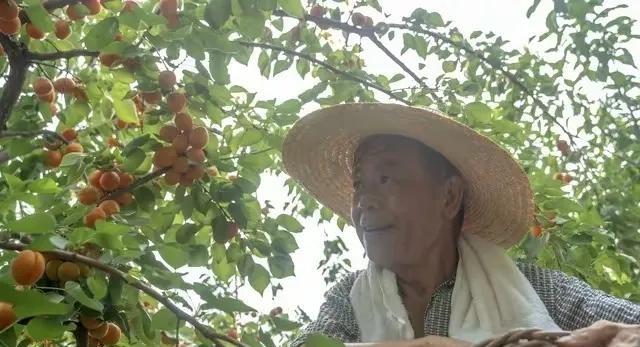 大家发现没有，在农村凡是存款几十万以上者，绝大多数都是这些人