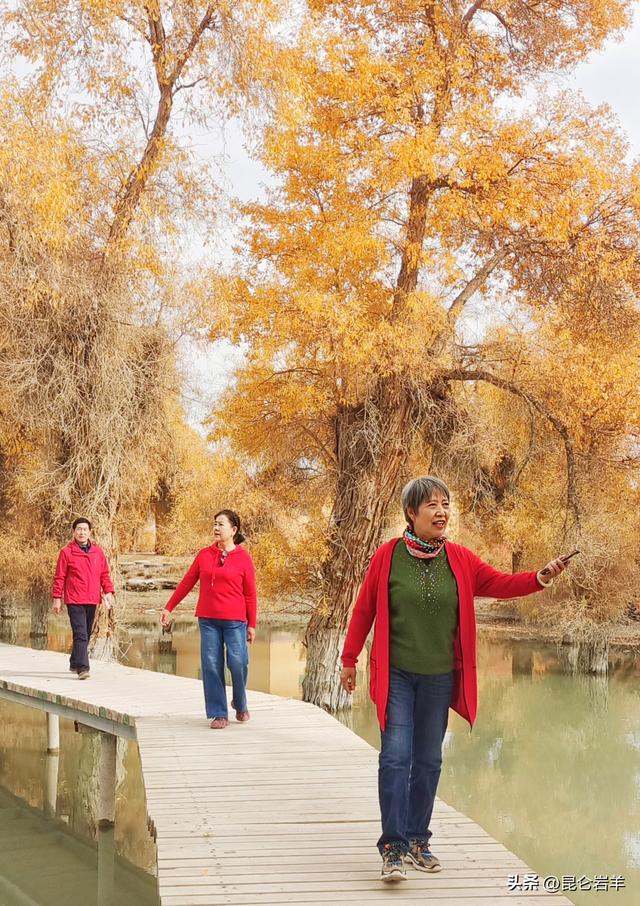 沙雅县470万亩胡杨正把全年最浓烈的色彩最后一次性释放出来