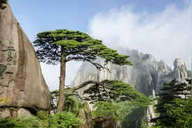 浩缘随笔：无限风光数黄山(黄山游记之一)图片