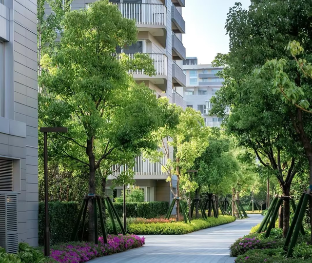 2026年的房价要变天？王健林预言应验，惊醒梦中人