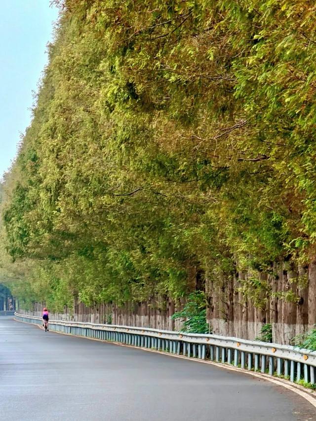 叮！你有一份上海秋日漫步地图待解锁→