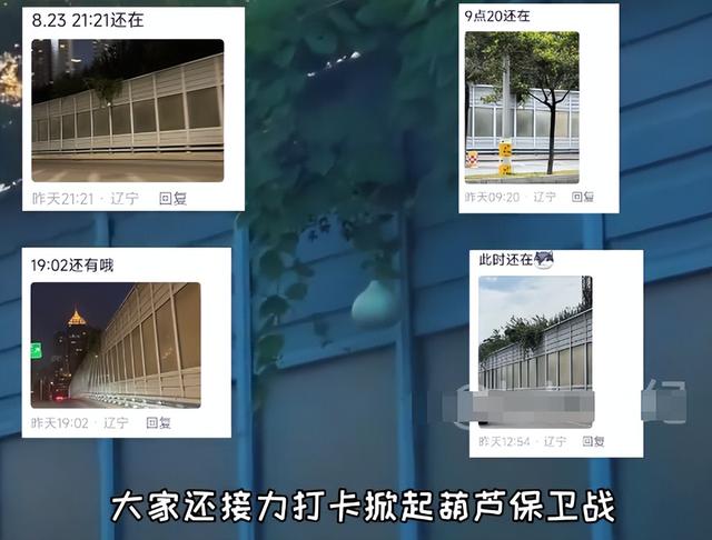 摘葫芦男“社会性死亡”：处罚曝光，婚礼取消，脸面和幸福都没了