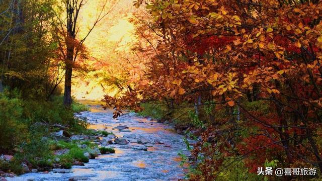 吉林红石国家森林公园：山水秘境与红色记忆的交响