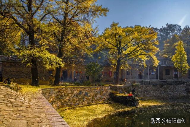 秋色正斑斓！信阳赏秋打卡地推荐