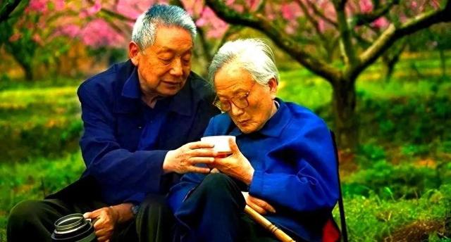 倾家荡产养出白眼狼！北京老太卖房求赡养，却把女儿告上法庭