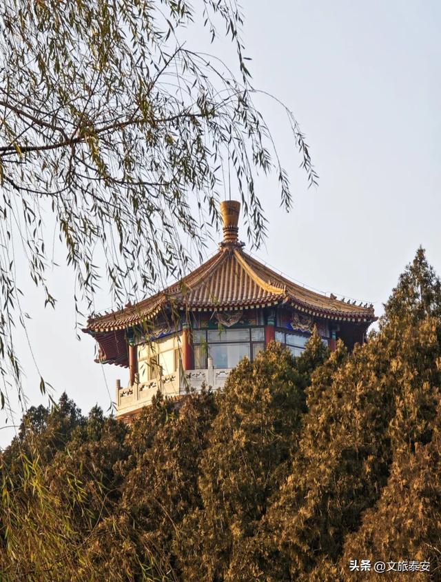 Citywalk必打卡！快来泰安这处公园，领取「浪漫可爱」的心灵治愈指南！