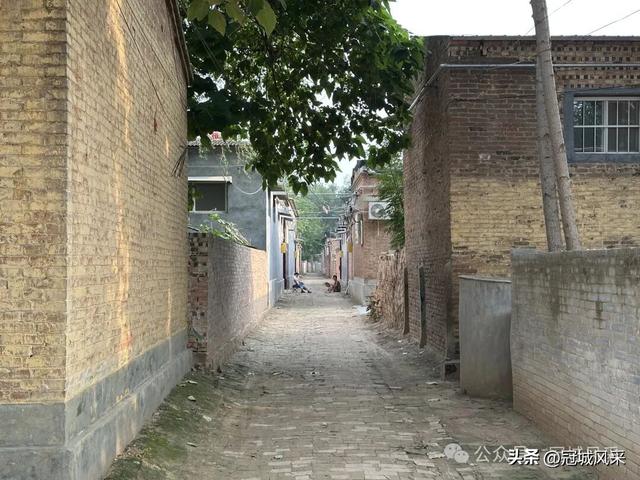 冠县乡韵·辛集镇崔刘八寨
