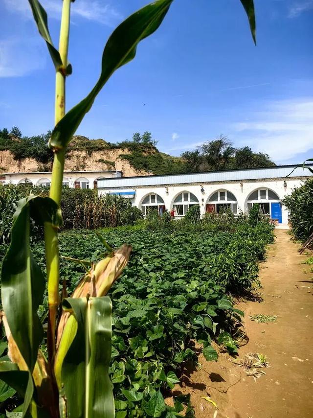 山西吕梁·石楼县泊河村