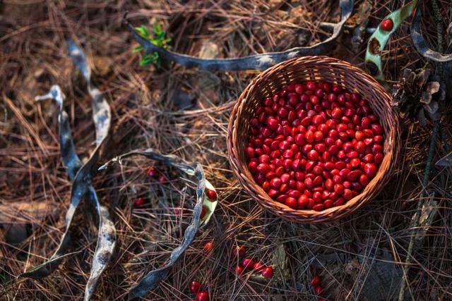别卷作业了，卷卷大自然！韶关秋日研学，让娃成为朋友圈最酷的崽