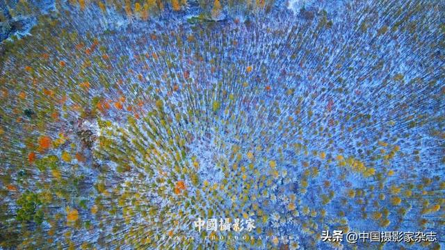 林树国｜塞罕坝林海之歌