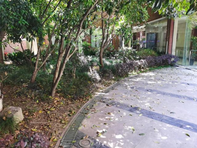 典藏上海,向新而生!上海市城市建设档案馆打开围墙,与市民共享单位附属绿地空间