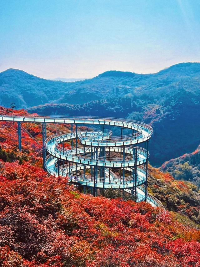 《山东红叶观赏地图》.PDF
