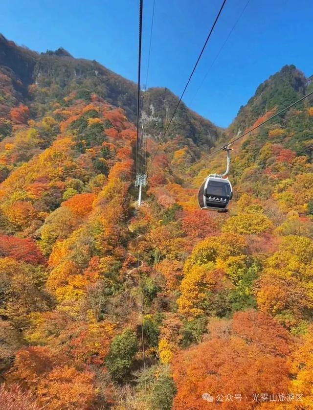 宝子你听我说，近期天气好、红叶美，光雾山可以冲了!