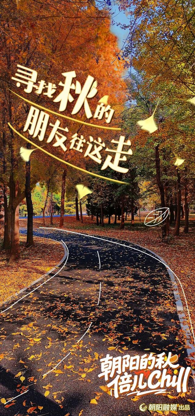 来北京朝阳，开启最chill的秋日漫游——