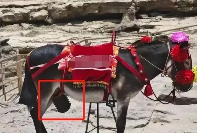 “鲁迅画像被指误导青少年”引热议：别让戾气，代替了思考