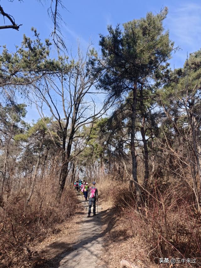 无为在歧路，免费仰天山