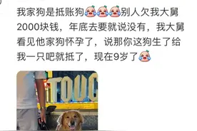 笑趴了！盘点离谱到家的抵债方式！我却差点笑死在网友们的评论区图片