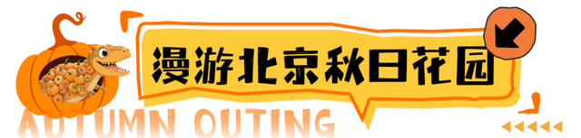 相约世界花卉大观园！丰台将迎巨型南瓜王国、全国菊花擂台赛！