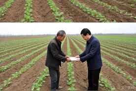 国家对农民的耕地补贴多少钱一亩？图片