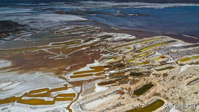 “大雪”时节的景泰盐沼湿地