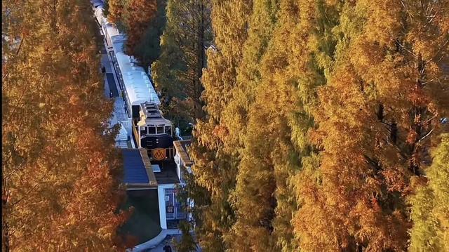 国家级荣誉！休宁县这个案例入选！| 皖美冬日 | 第十五届安徽国际文化旅游节