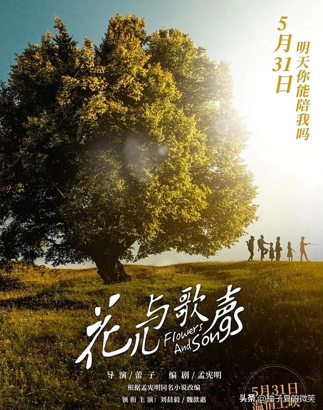 值得一看的五部治愈系儿童影片，温暖孩子整个童年！