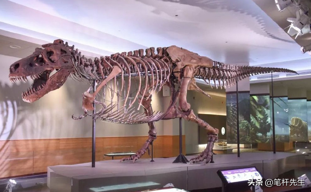 恐龙既不温血也不冷血？化石标记物揭秘，中温性成灭绝关键