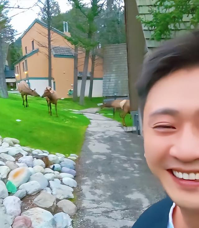闯祸了！央视主持人出国旅游，携妻女高调炫海外生活，被网友骂惨