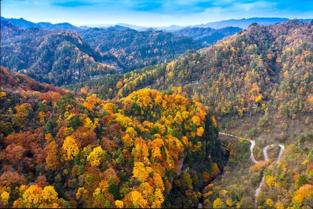 赏秋正当时!自驾来汉中,赴一场秋日视觉盛宴~