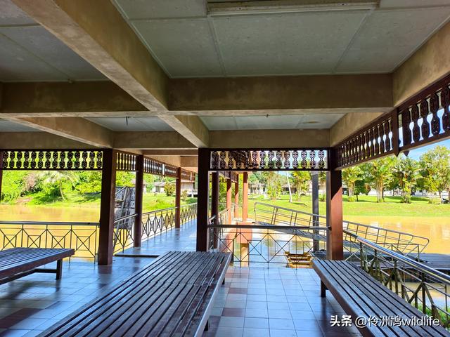 马来西亚(32)砂拉越州⑥世界遗产尼亚洞窟探险